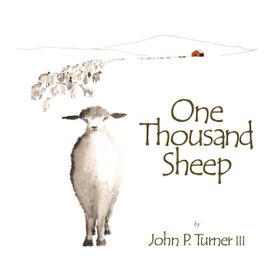 One Sheep One Thousand Sheep-Compassion-Ayla Abak