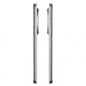 OnePlus 12 5G 256GB 12GB Ram Gümüş