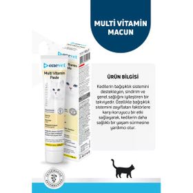 Onevet Multi Vitamin Paste Bağışıklık Destekleyici 100 gr Kedi Maltı