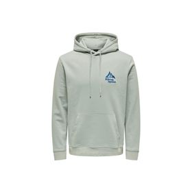 Only & Sons Onscarl Reg Mountain Sweat Hoodie Gri Erkek Sweatshirt