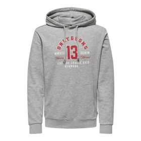 Only & Sons Onslenny Reg Vintage Print Hood Sweat Light Grey Melange Erkek Sweatshirt