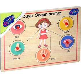 Onyıl Oyuncak 166/167 Ahşap Tutmalı Organlar
