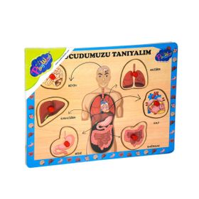 Onyıl Oyuncak 287/288 Ahşap Tutmalı Vücudumuzu Tanıyalım