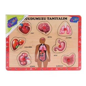 Onyıl Oyuncak ONY-287/288 Ahşap Tutmalı Vücudumuzu Tanıyalım