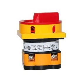 Opaş 1x25A 0-1 Aç Kapa Kilitli Şalter