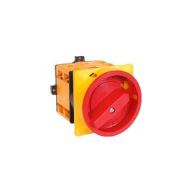 Opaş YKL101M25 1x25 A Aç-Kapa Kilitli Şalter