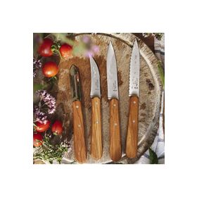 Opinel Essentials Günlük 4'lü Bıçak Seti