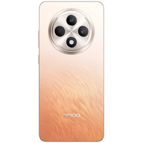Oppo Reno 11FS 256 GB 8 GB Ram
