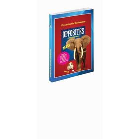 OPPOSITES (ANTONYMS) - MURAT KURT