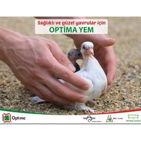 Optima 15 kg Yavru Güvercin Yemi