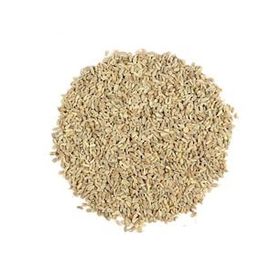 Orgagen Ambarı 100 gr Anason Tohumu
