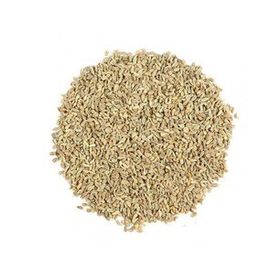 Orgagen Ambarı 100 gr Anason Tohumu