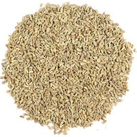 Orgagen Ambarı 100 gr Anason Tohumu