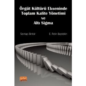 Örgüt Kültürü Ekseninde Toplam Kalite Yönetimi ve Altı Sigma - Sevtap Binbir Pelin Baytekin