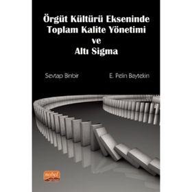 Örgüt Kültürü Ekseninde Toplam Kalite Yönetimi ve Altı Sigma - Sevtap Binbir Pelin Baytekin