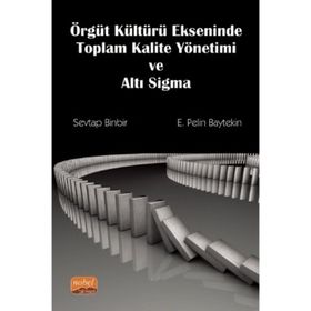 Örgüt Kültürü Ekseninde Toplam Kalite Yönetimi ve Altı Sigma - Sevtap Binbir Pelin Baytekin