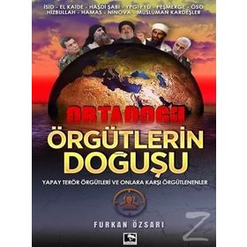 Örgütlerin Doğuşu - Furkan Özsarı
