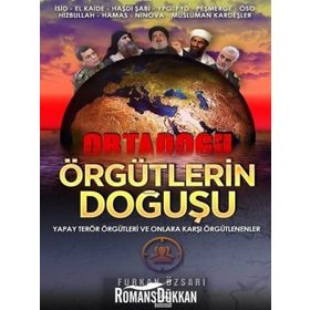 Örgütlerin Doğuşu - Furkan Özsarı