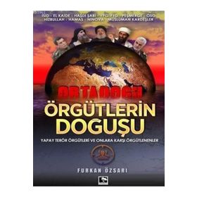 Örgütlerin Doğuşu - Furkan Özsarı