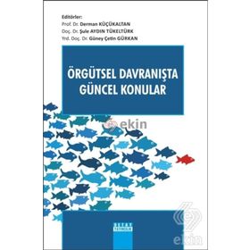 ÖRGÜTSEL DAVRANIŞTA GÜNCEL KONULAR - DERYA ERGUN ÖZLER