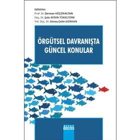 ÖRGÜTSEL DAVRANIŞTA GÜNCEL KONULAR - DERYA ERGUN ÖZLER