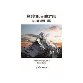 Örgütsel ve Bireysel Mükemmellik - Kolektif