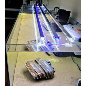 OrionLed 90 cm Karışık Renkli Beyaz Kırmızı Mavi Akvaryum Led Aydınlatma