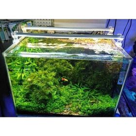OrionLed Beyaz 50 cm 6500K Akvaryum Led Aydınlatma