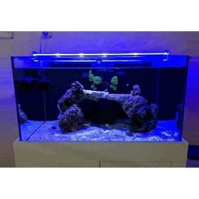 OrionLed Mavi 30 cm Akvaryum Led Aydınlatma