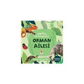 Orman Ailesi / Bilgi Dolu İlk Kitaplarım - Kevser Aya - Sincap Kitap Yayınları