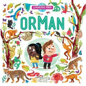 Orman - Çevremizdeki Dünya - Kolektif
