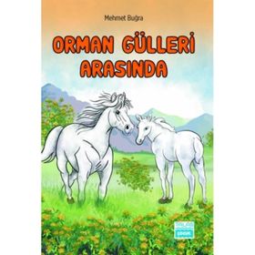 Orman Gülleri Arasında - Mehmet Buğra