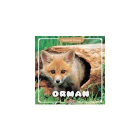 Orman - Hayvanlar Dünyası - Kolektif - Yumurcak Yayınları
