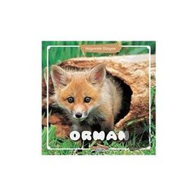 Orman - Hayvanlar Dünyası - Kolektif - Yumurcak Yayınları