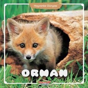 Orman - Hayvanlar Dünyası - Kolektif - Yumurcak Yayınları