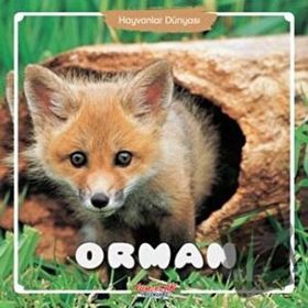 Orman - Hayvanlar Dünyası - Kolektif - Yumurcak Yayınları