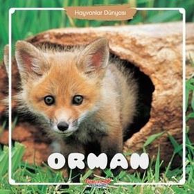 Orman - Hayvanlar Dünyası - Kolektif - Yumurcak Yayınları