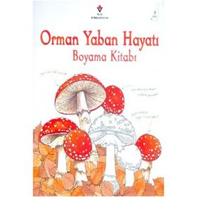 Orman Yaban Hayatı Boyama Kitabı - Jenny Cooper