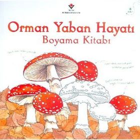 Orman Yaban Hayatı Boyama Kitabı - Jenny Cooper