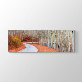 Orman Yolu Tablosu