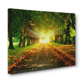 Orman Yolu Tablosu