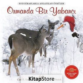 Ormanda Bir Yabancı - Carl R. Sams II