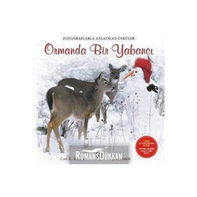Ormanda Bir Yabancı - Carl R. Sams II