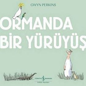 Ormanda Bir Yürüyüş - Gwyn Perkins