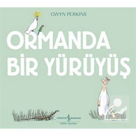 Ormanda Bir Yürüyüş - Gwyn Perkins