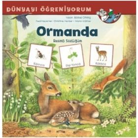 Ormanda - Dünyayı Öğreniyorum - İş Bankası Kültür Yayınları