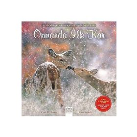 Ormanda İlk Kar - Carl R. Sams II Jean Stoick