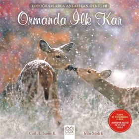 Ormanda İlk Kar - Carl R. Sams II Jean Stoick
