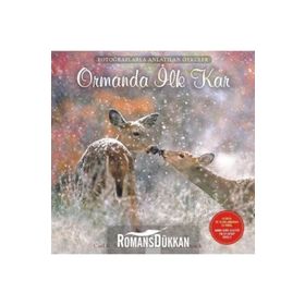 Ormanda İlk Kar - Carl R. Sams II Jean Stoick