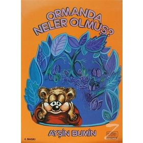 Ormanda Neler Olmuş - Ayşin Bumin